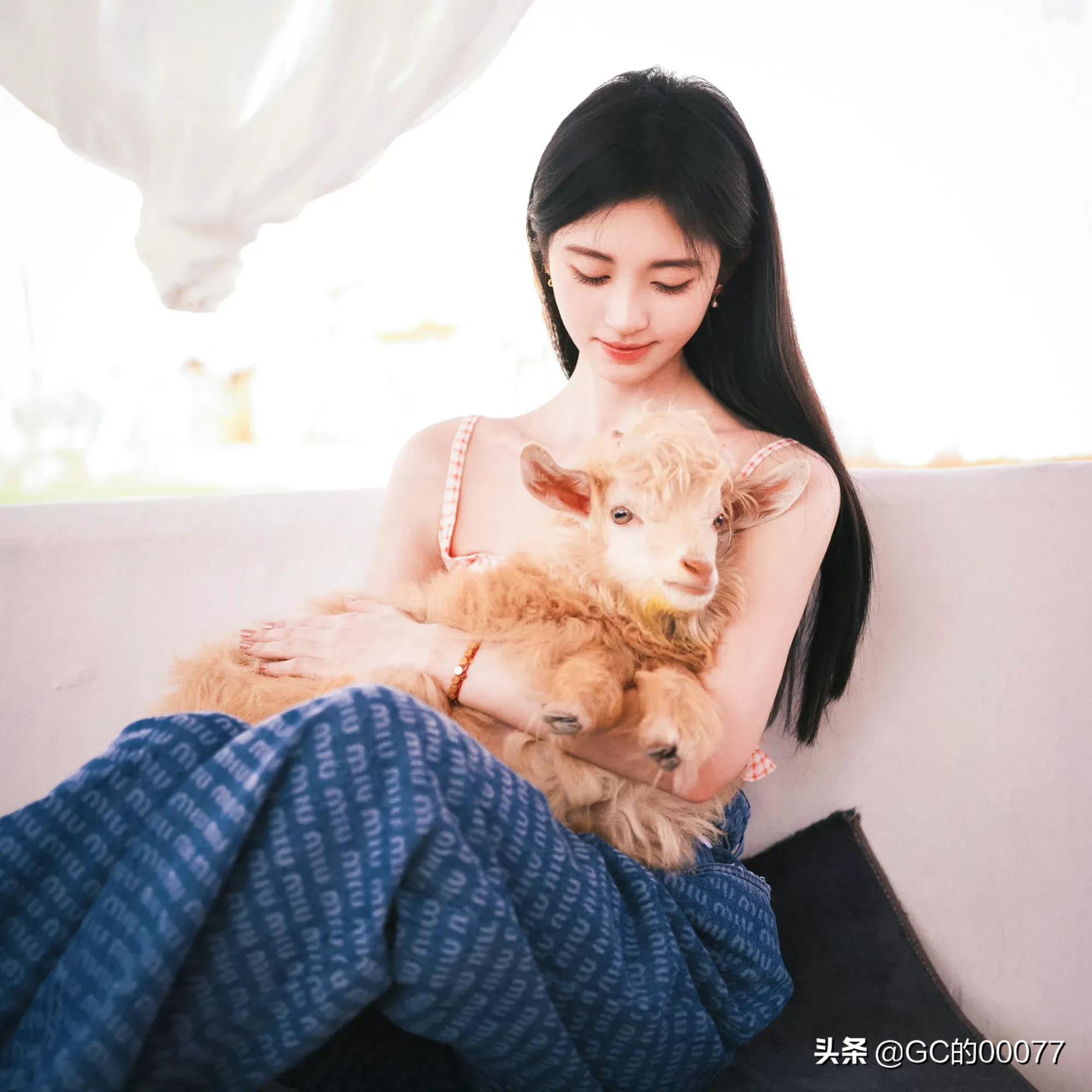 明星图片鞠婧祎