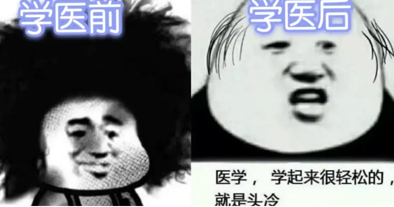 2022年医科大学排行榜，哈医大成“黑马”，医药高校格局大洗牌？