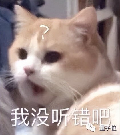 Linux內(nèi)核將引入Rust,Linus:以防此事搞砸我又發(fā)脾氣，先道個(gè)歉