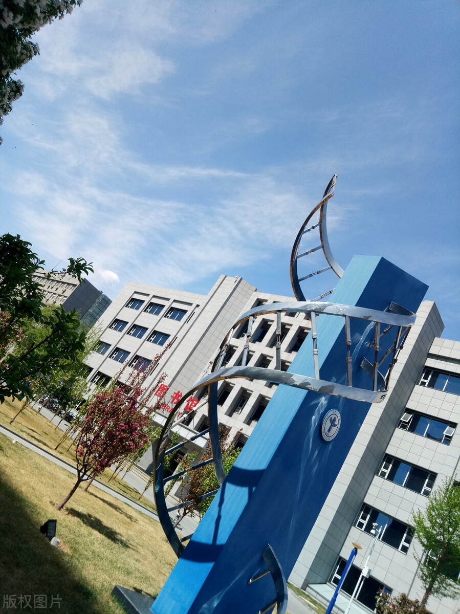 北京大学医学部 中国最好的医科大学-百科叔叔