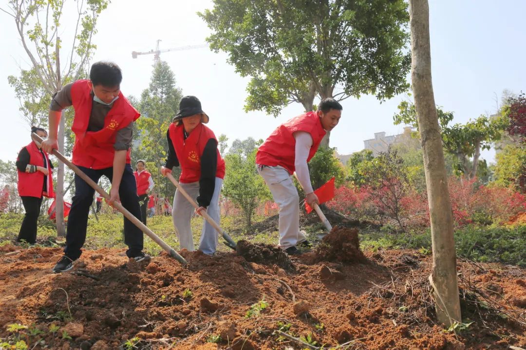 共植一片绿，助力“碳中和”