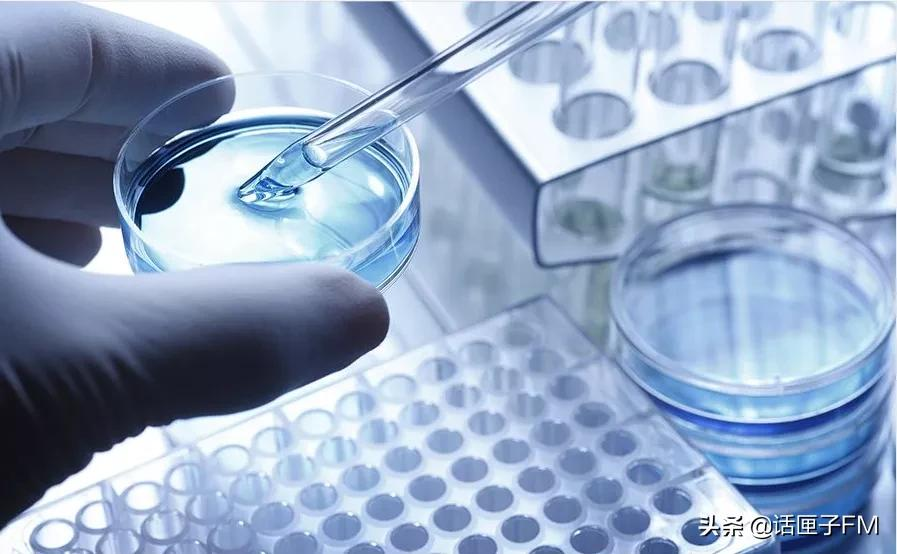今年全力推进的生物医药产业“上海方案”如何发力？这些领跑数字里，藏着高质量密码