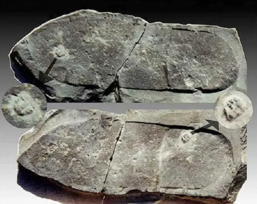 ������2.5����ǰ�ġ�оƬ����ʯ�������ѵ������׸�����������