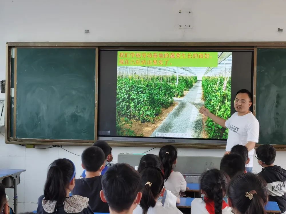 泗陽縣實驗小學:小小農(nóng)夫捉蟲忙(圖1) 泗陽縣實驗小學:小小農(nóng)夫捉蟲忙(圖1)