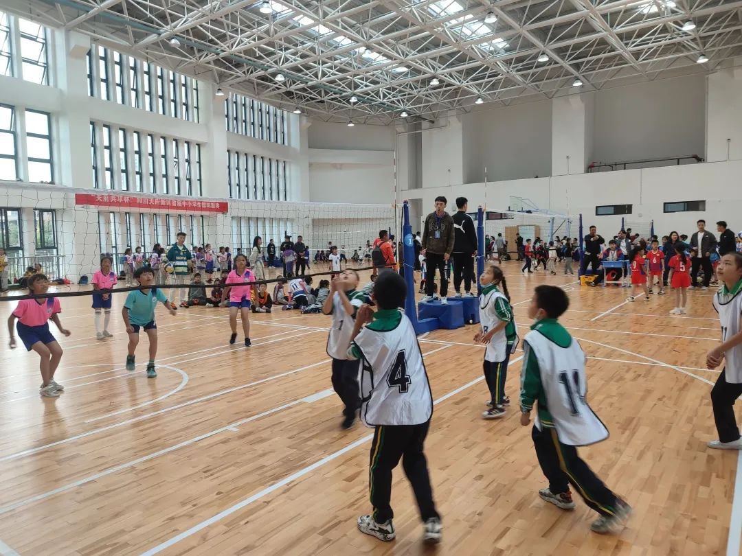 天府新区锦江小学在“天府共享杯”排球联赛中喜获佳绩
