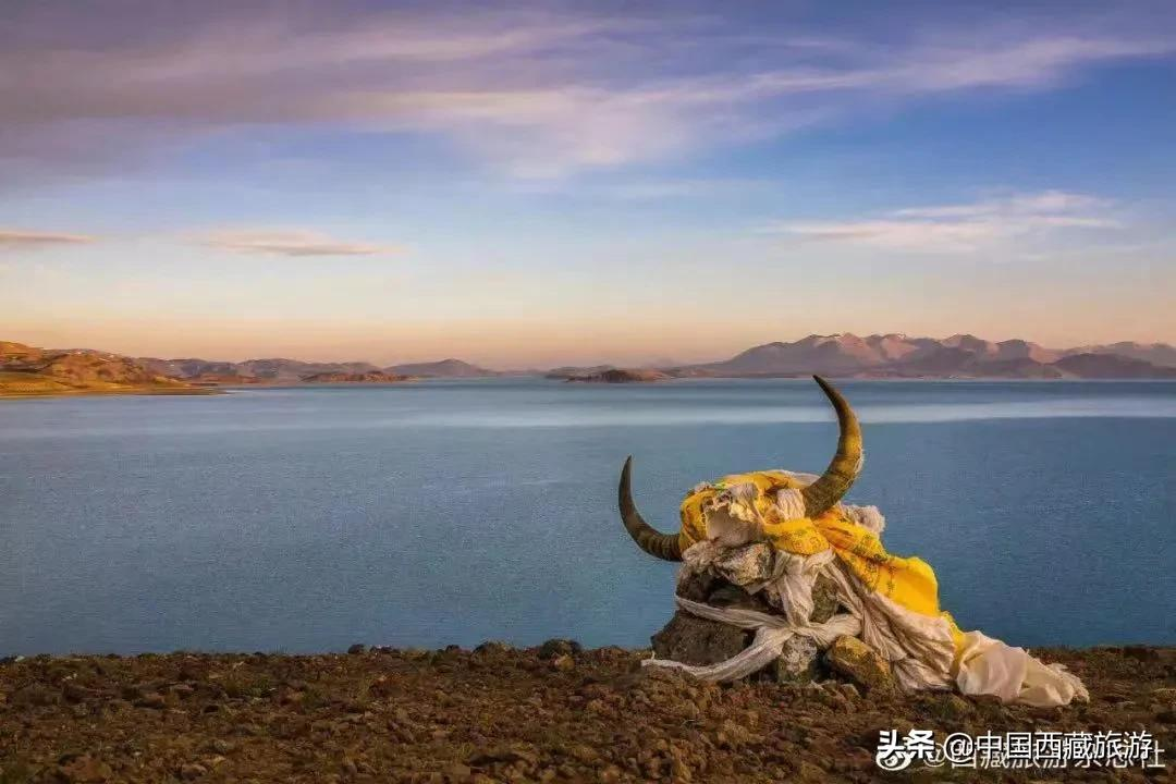 等一个人，陪我去阿里！