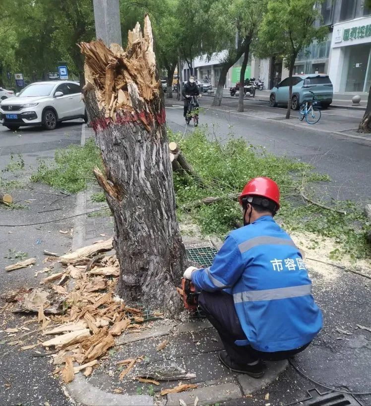 ������԰���̻��ӿ�������·�ϵ�����ľ ���ϵ�·��ȫ