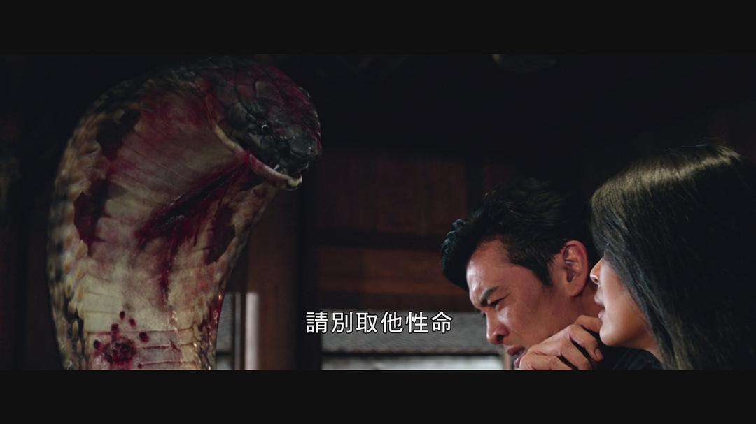 泰剧林蛇爱2021电视剧大结局