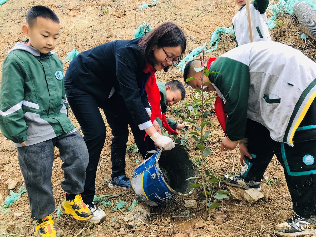 华中师范大学附属武当中学开展植树节活动(图1)