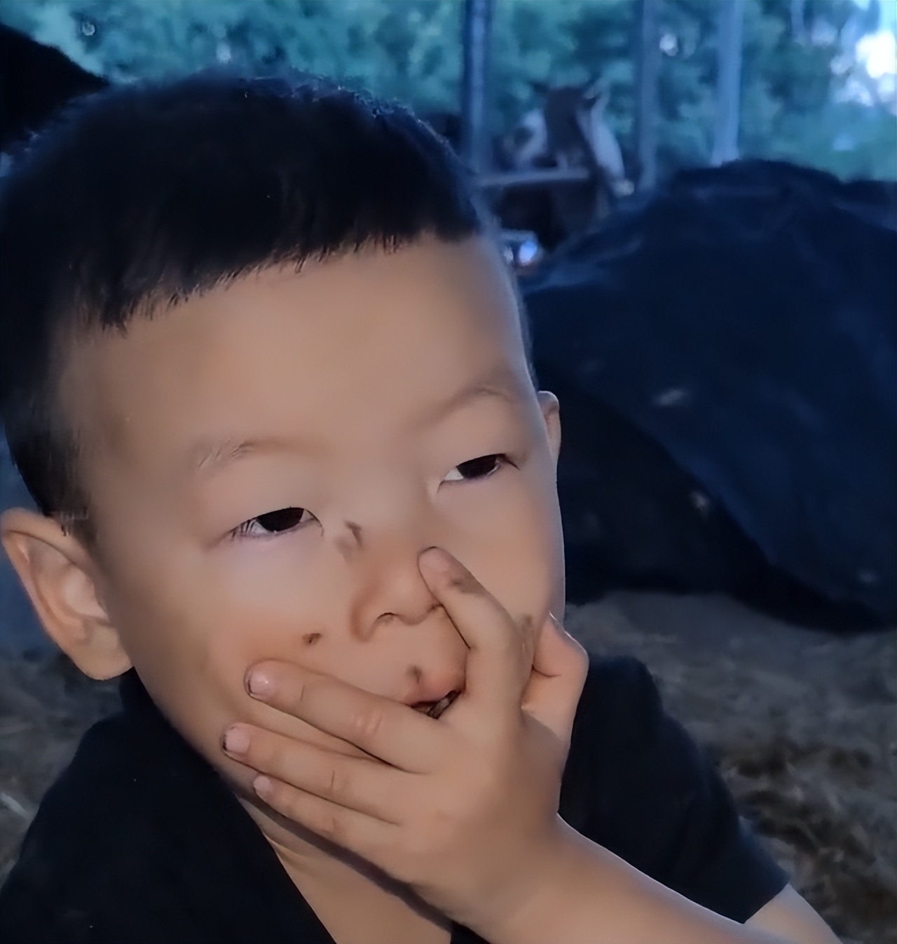 神奇!湖北3岁男童发“O”音,竟成蚊子召唤术,引470万网友围观