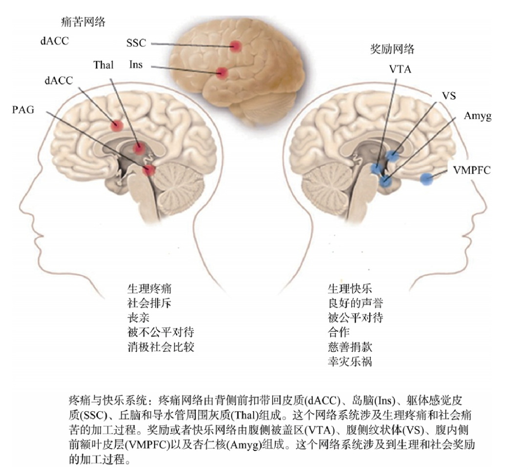 幸灾乐祸是什么意思（幸灾乐祸是什么意思二年级）-第9张图片-巴山号