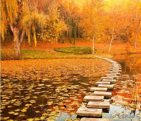 高考和大学：人生的转折点