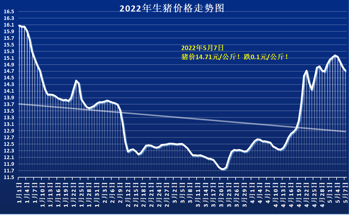 今日羊价5月21日,今日羊价最新走势价格
