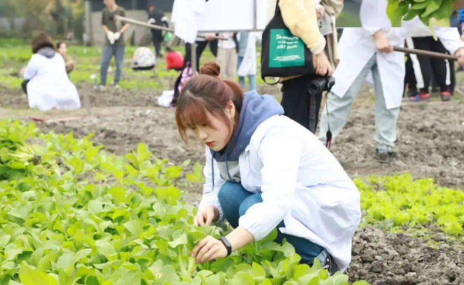 一所越来越“冷清”的985大学，学生不愿报考，遇山体滑坡式下降