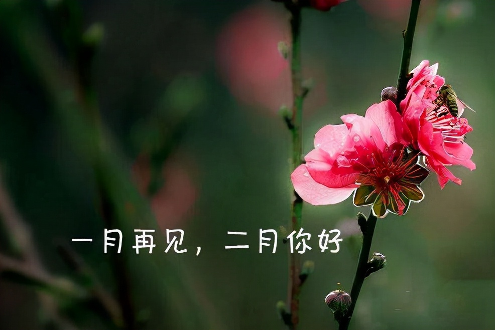 告别一月寒意，二月春风送暖来；扬帆起航新起点，逐梦路上不停歇。