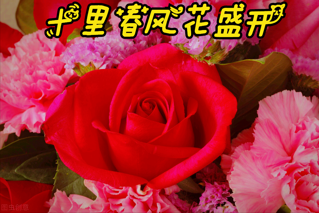 一花一深爱，十里春风花盛开，时光岁月最深情，素心从容笑如花