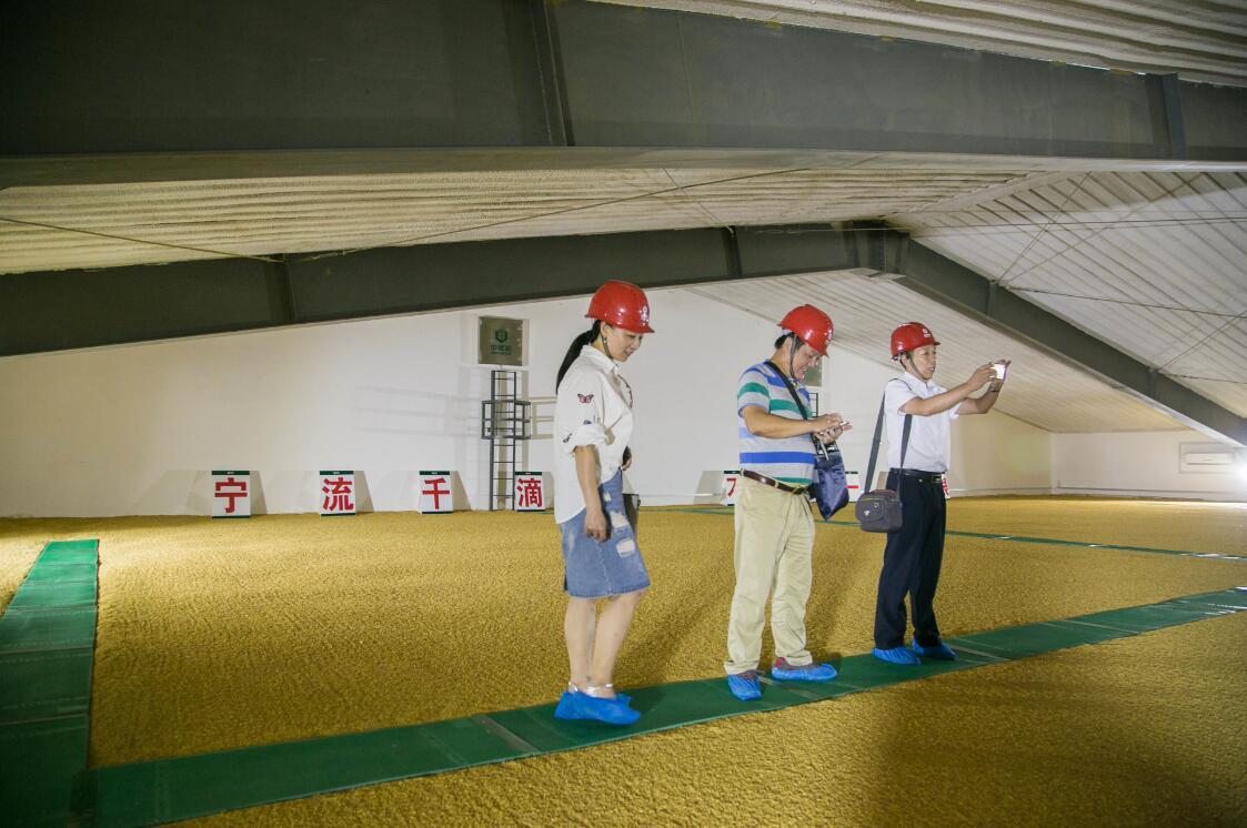 中山伊电园招聘（国企中储粮春招开始）