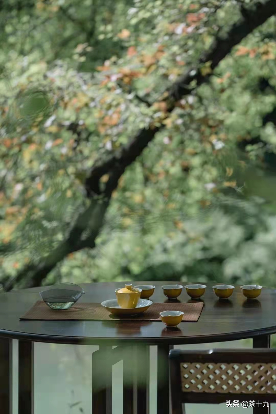 茶道——天育万物，皆有至妙，人之所工，但细浅易