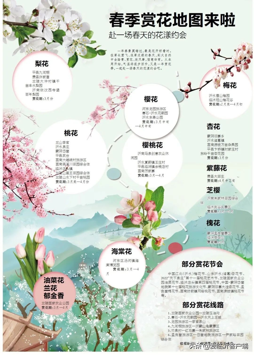 临沂最新赏花地图来啦