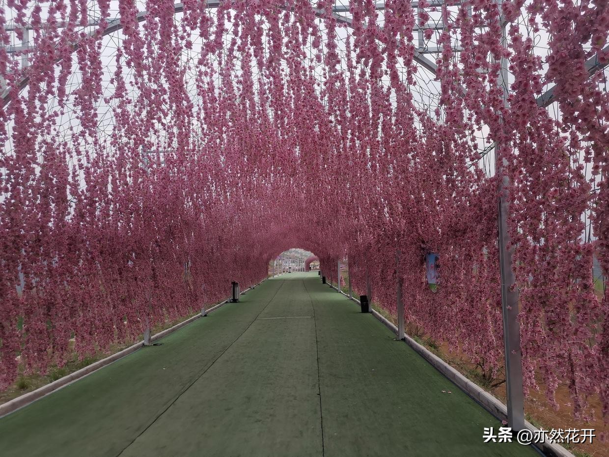 可行性分析怎么写(职场写作：可行性报告的写作技巧)