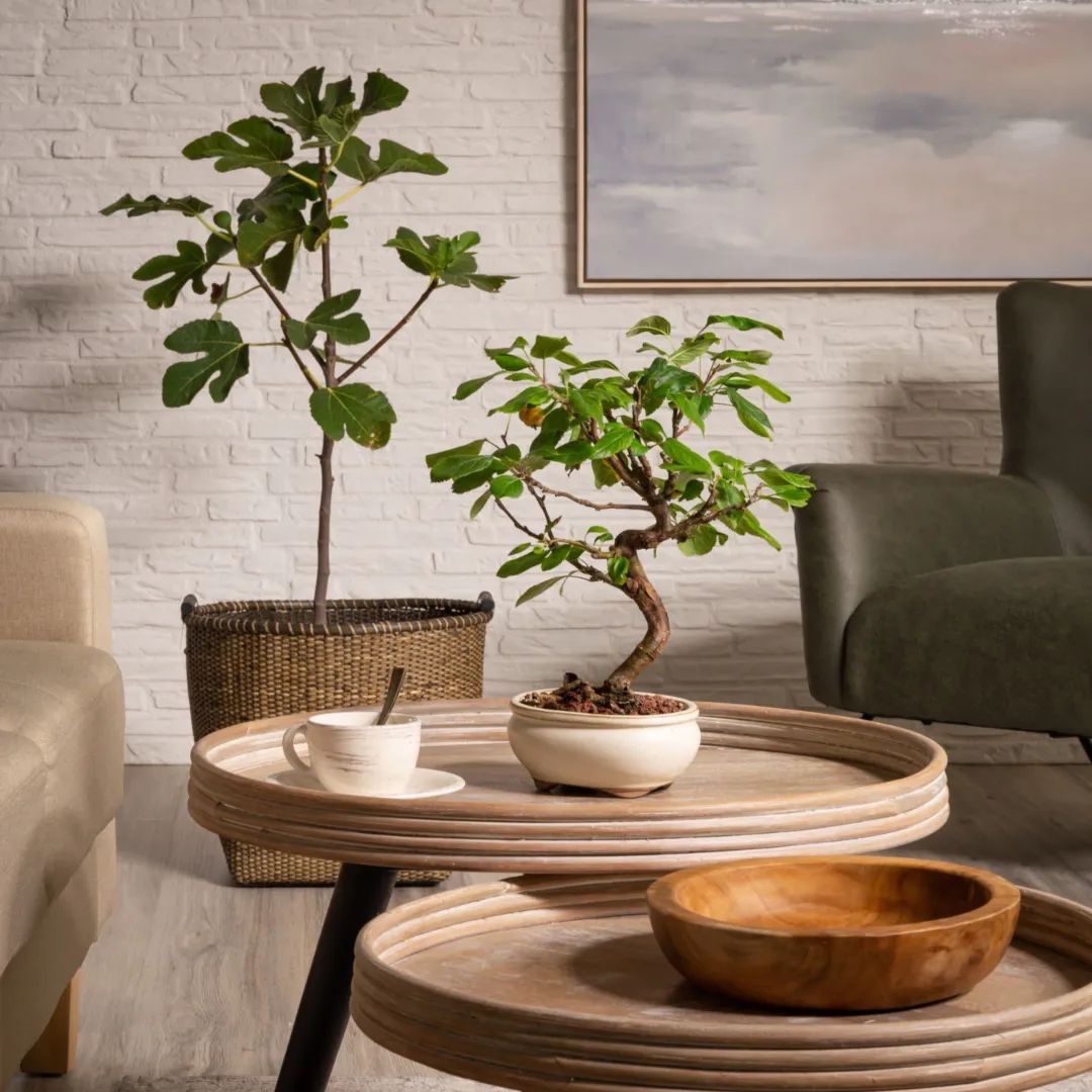 快来查看你星座专属的室内设计