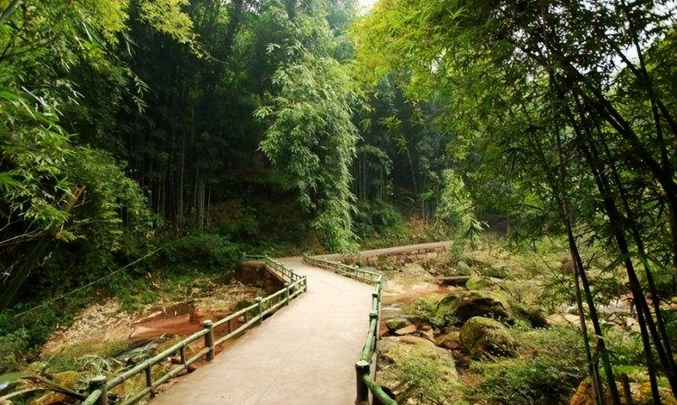 贵州一景区走红，河谷万竹拥溪，被誉为没有败笔的景区