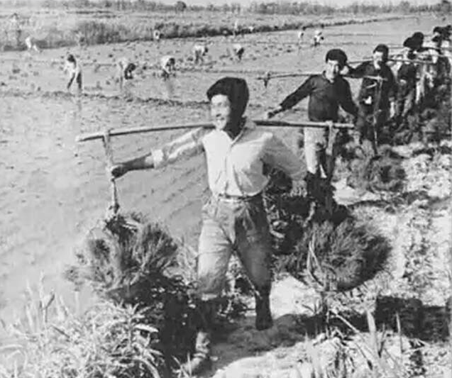 20岁重庆知青娶31岁带4娃寡妇，放弃返乡留山沟，婚姻幸福美满