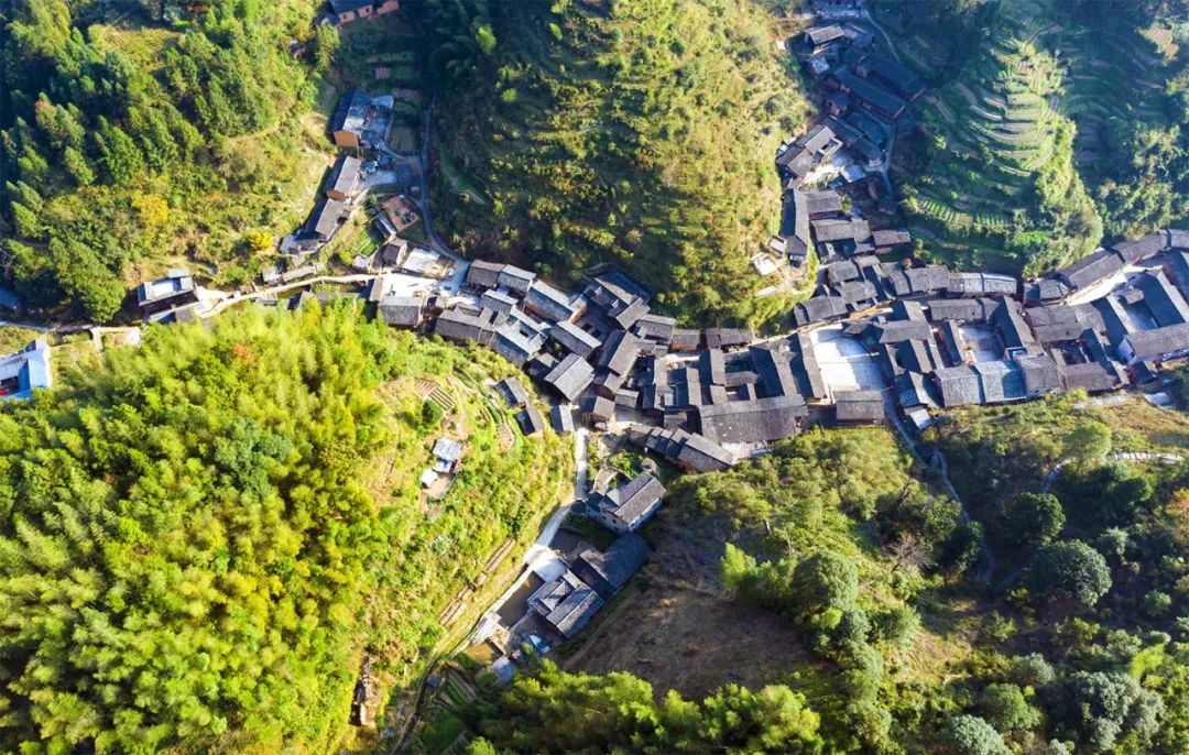 两个藏在深山的福建古村落，一个从没有蚊子，一个有最古老的木桥