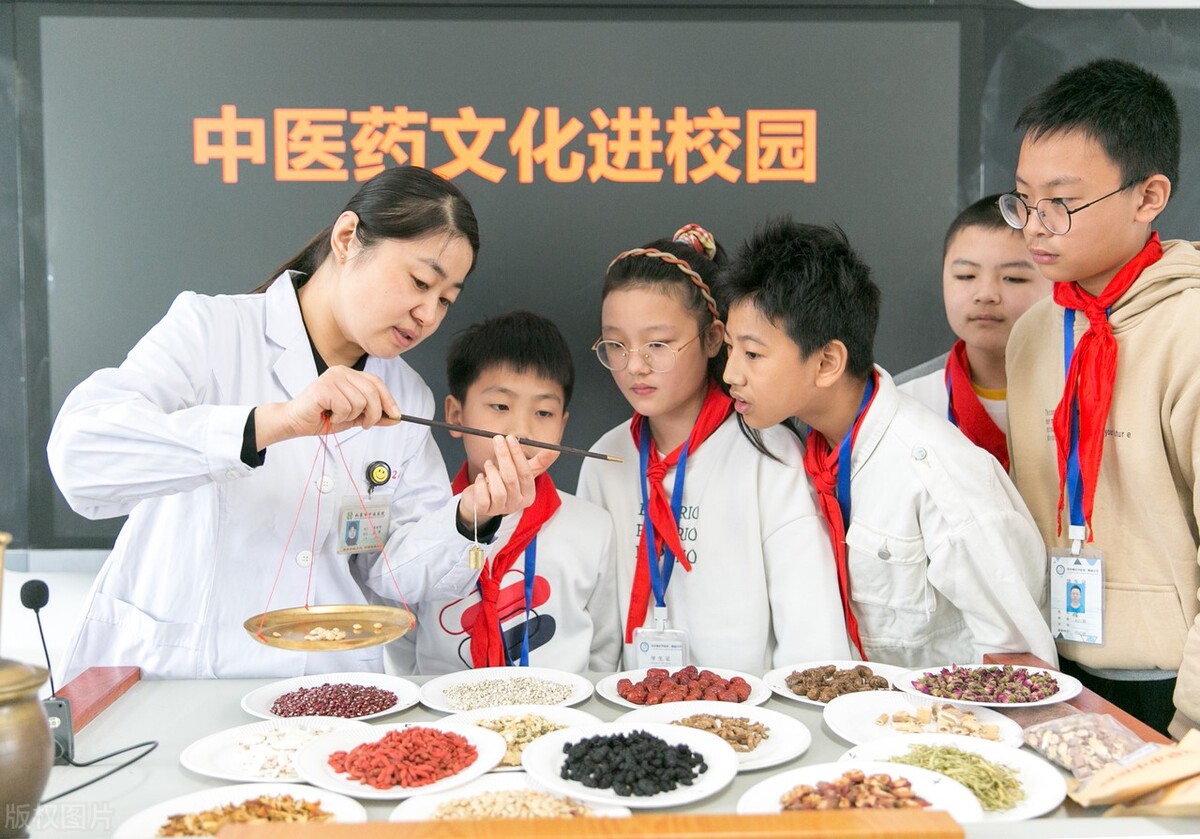 重庆市、安徽亳州、河北石家庄、宁夏等4个省市筹建4所中医药大学