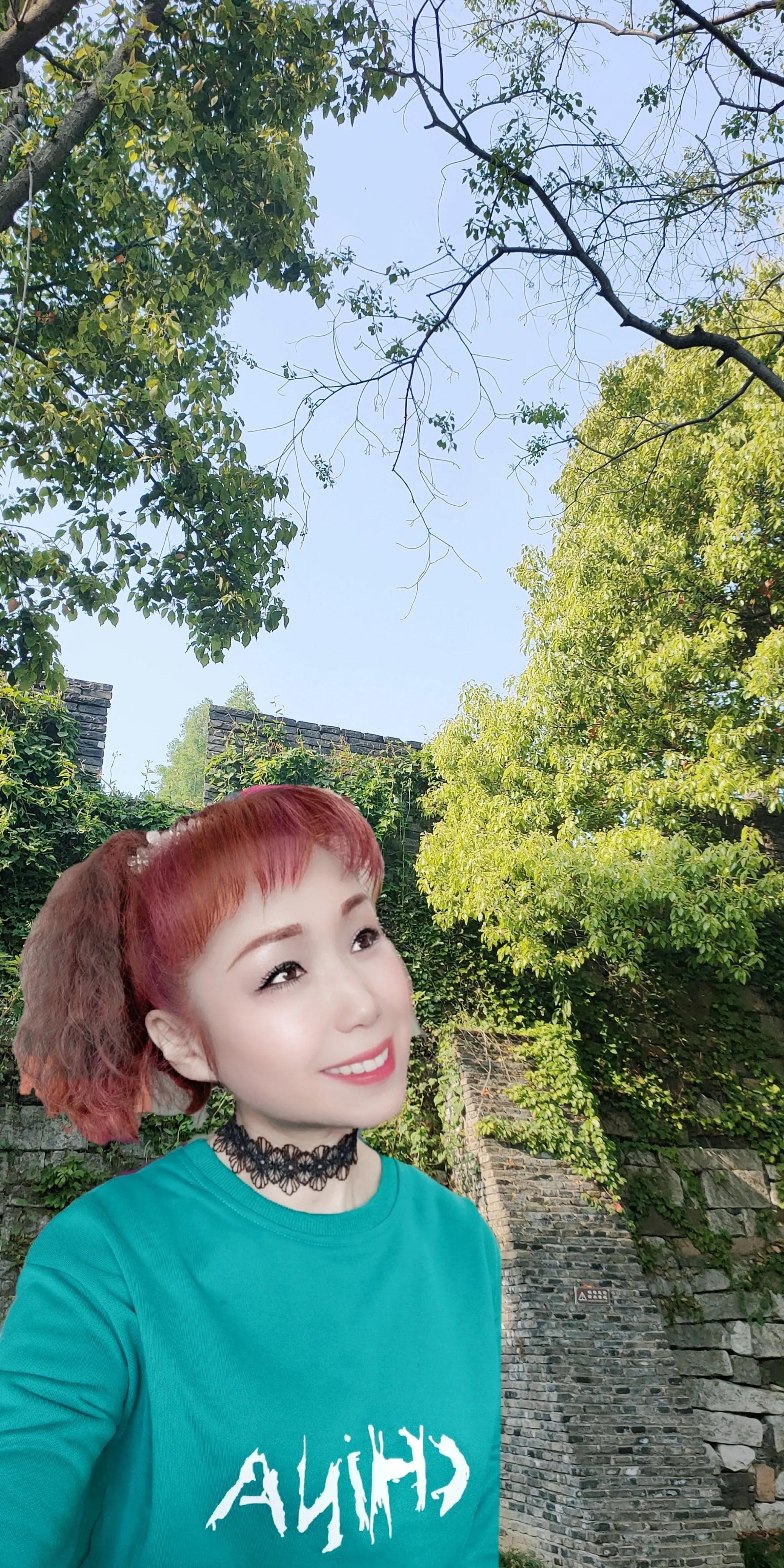 苏州美丽的盘门景区