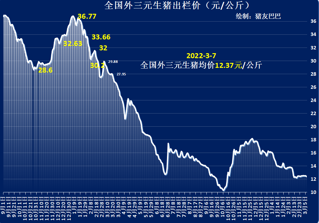 生豬今日豬價價格表3月7日(今日生豬價格行情)-愛妻自媒體