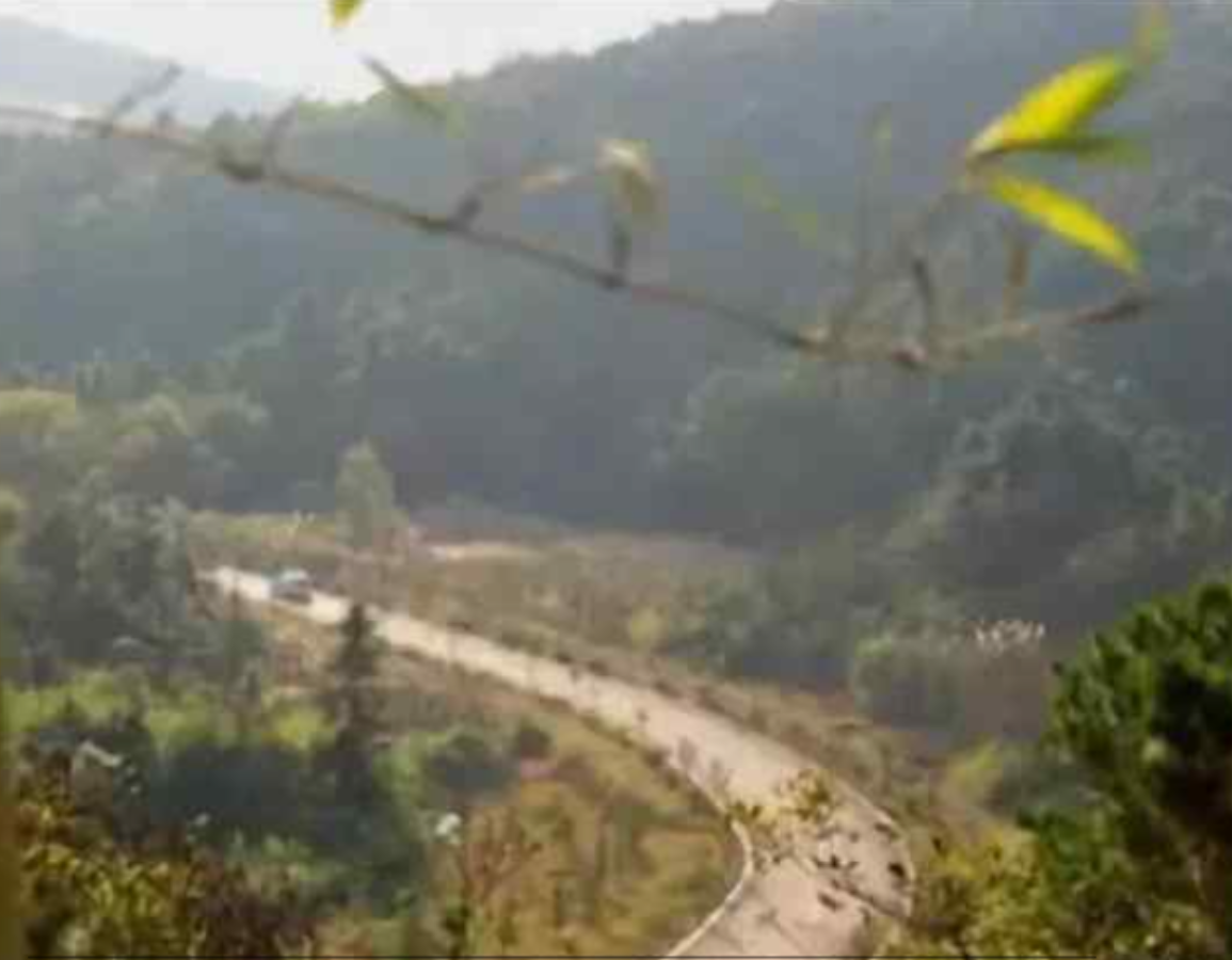 2011年南京发现一男尸，经调查此人五年前就已死于车祸，真相如何