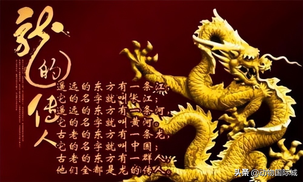 蛇进(jin)化为龙的七个阶段（中国最吓人的一条巨蛇）-大连(lian)信息网