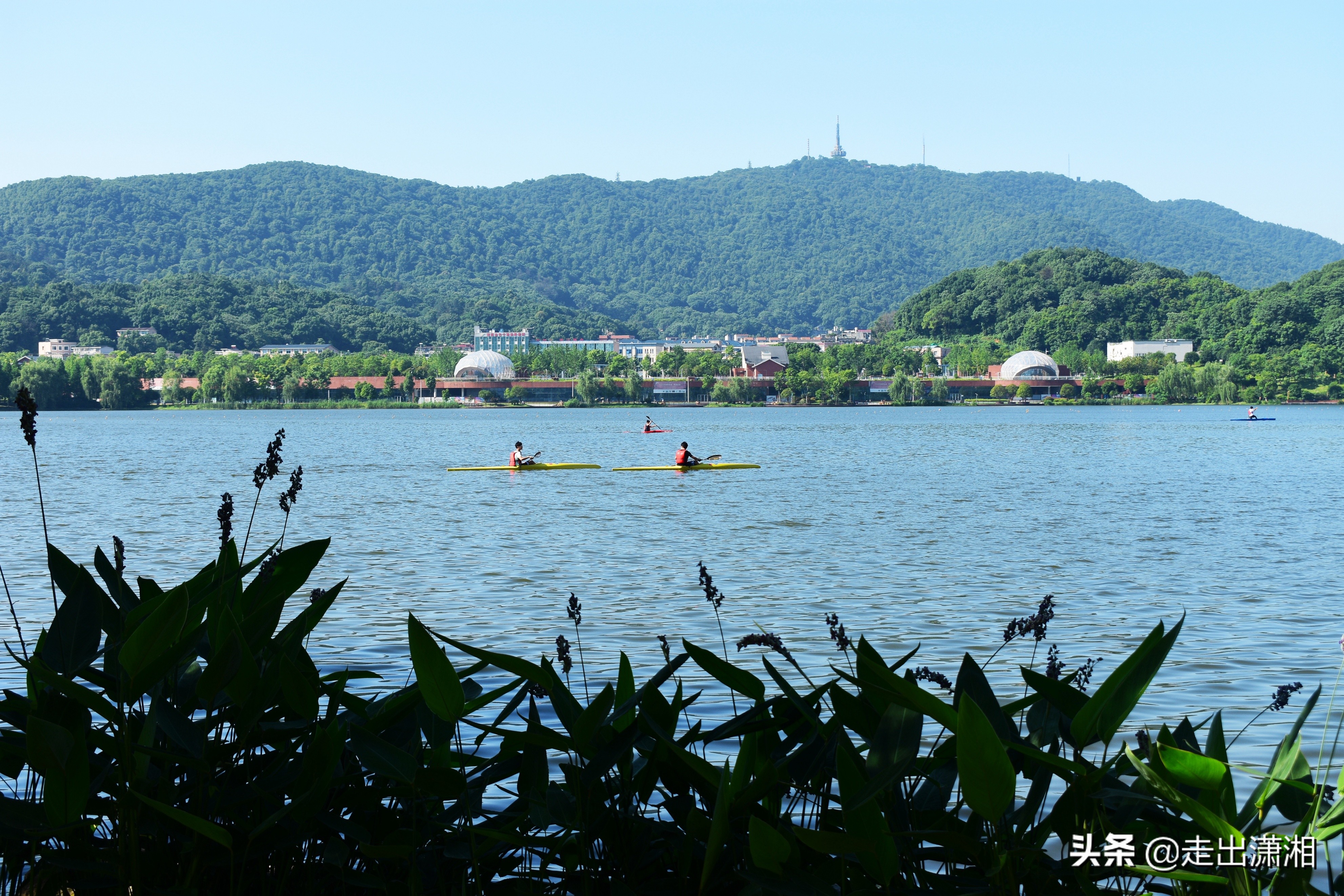 长沙也有一个“西湖”，就在岳麓山下，小孩来了就不想走