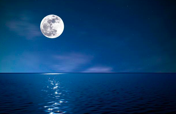 着千愁万绪,看着眼前无边无际低沉的旷野,发现有一轮江月在逐渐靠近他