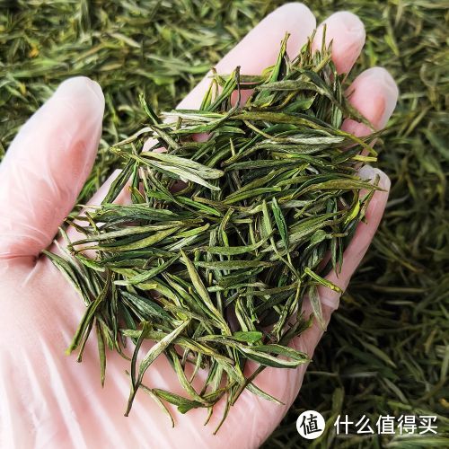 这些茶叶不算便宜但是很好喝，春节前值得一囤的茶叶梳理