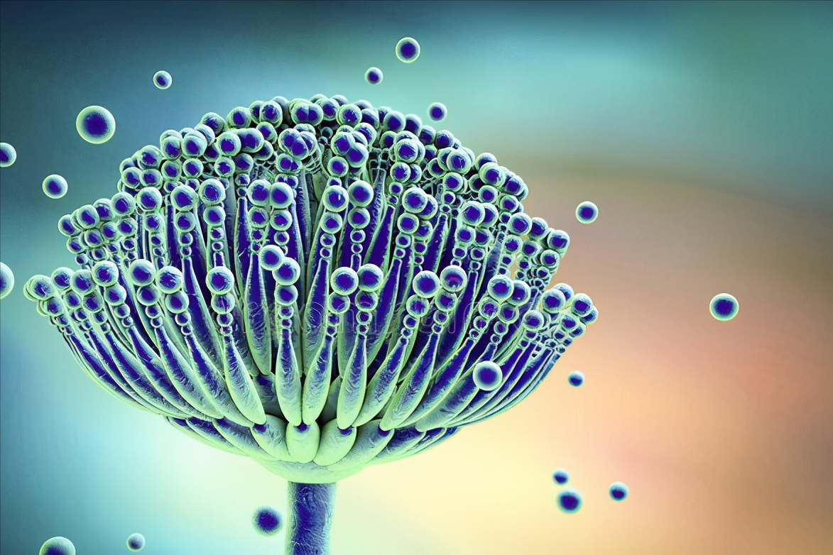 盗汗是什么病的征兆，值得担心吗？如何治疗？