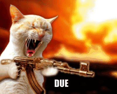 美国大学本科常规申请攻略