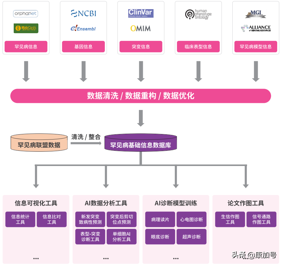 中国自己的罕见病数据中心推动基因治疗研究