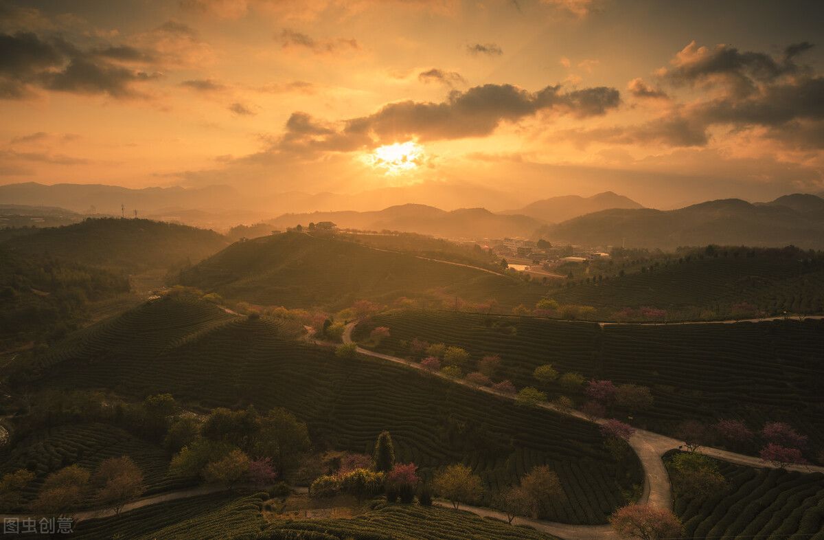 几本爆笑神级沙雕小说，脑洞清奇搞笑不断，看完不笑的绝对不一般