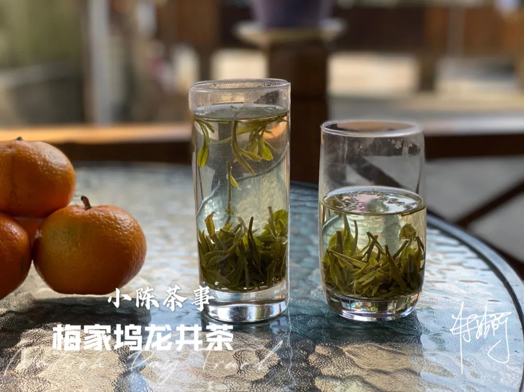 既然大紅袍、鐵觀音都是烏龍茶，那么烏龍茶到底是紅茶還是綠茶？