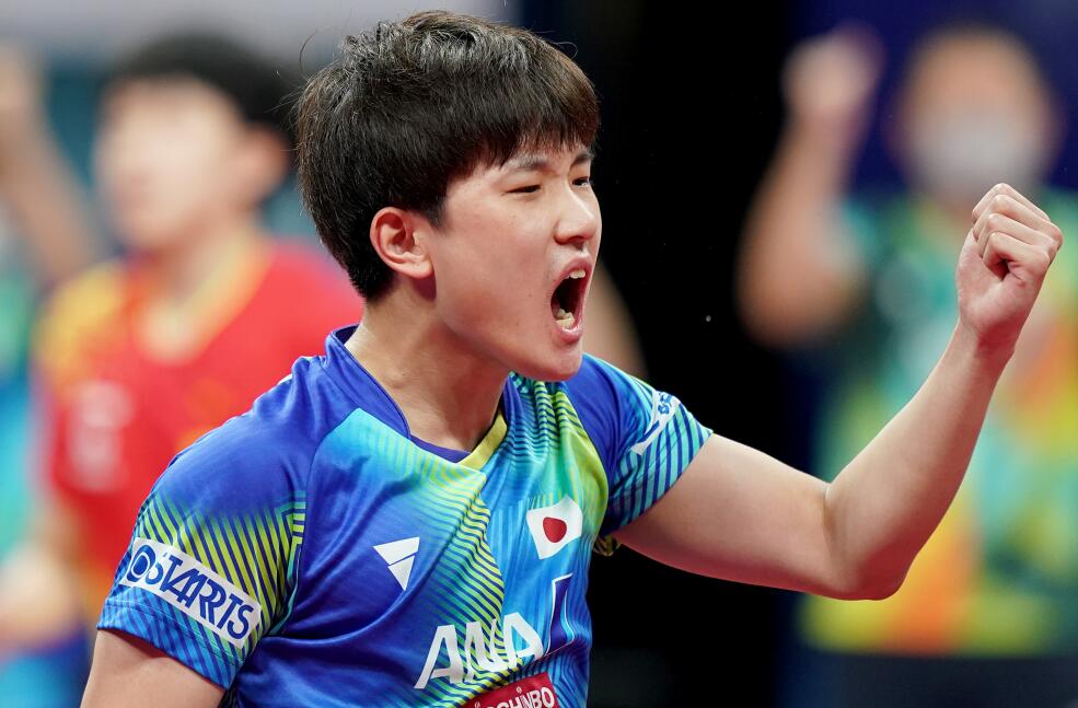 张本智和大吼大叫(国乒3-2进决赛!