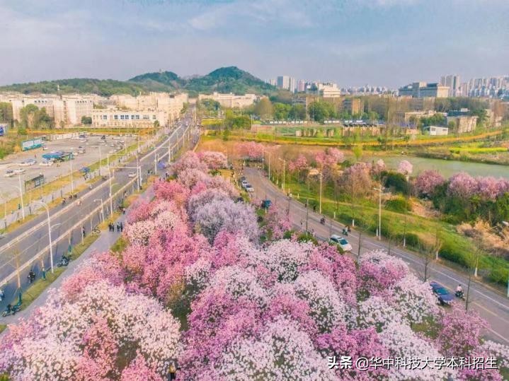 登上人民日报，研发肿瘤探测设备！这7人上榜同一名单，都来自华中科技大学