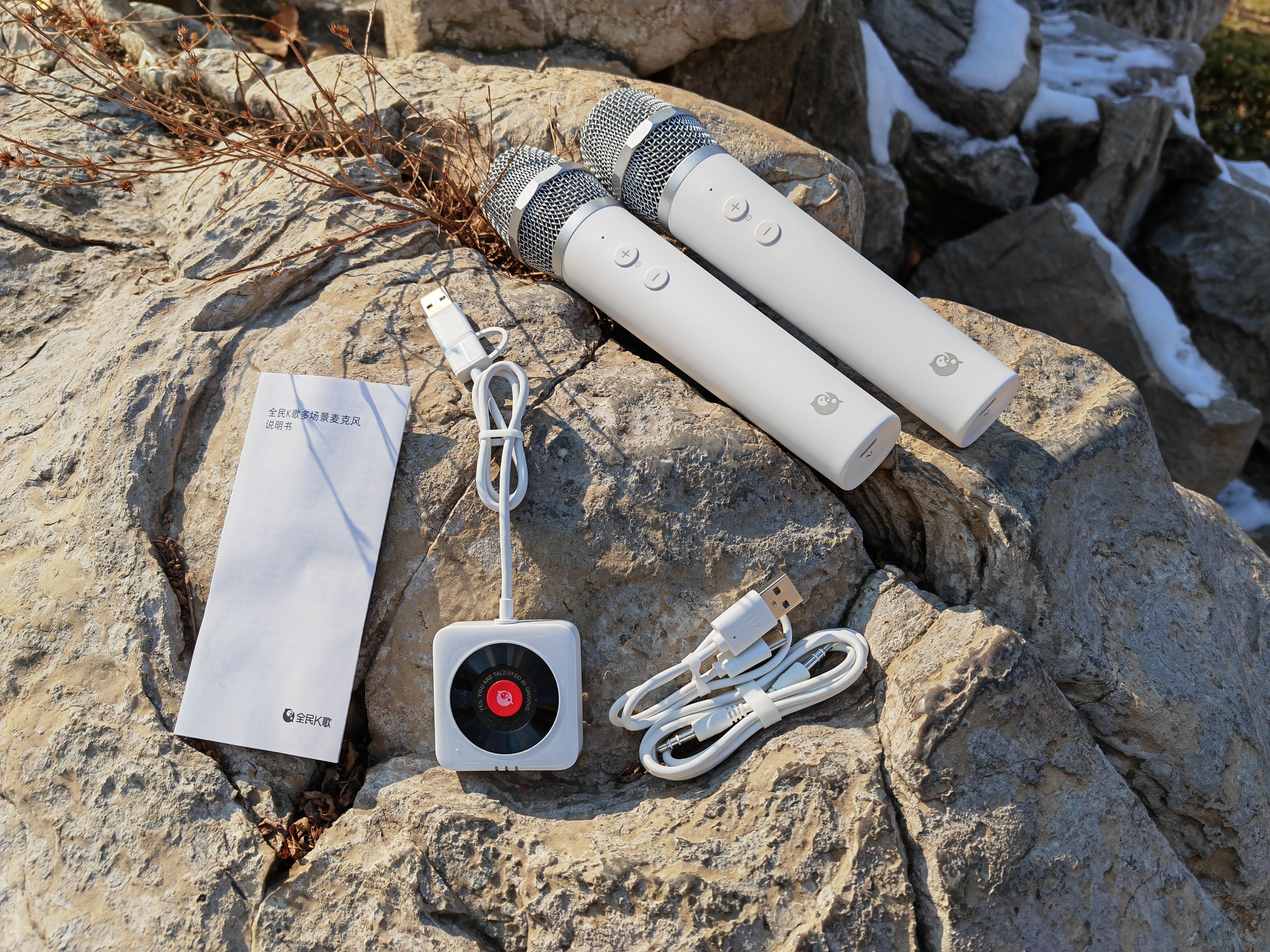 全民K歌独家麦克风 在家K歌更容易