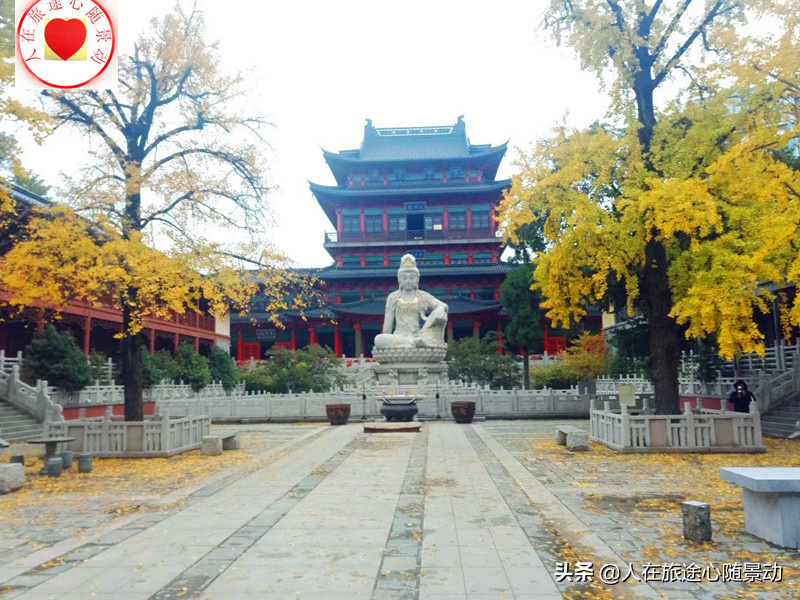 南京公园年票,南京公园年票2022全年办理