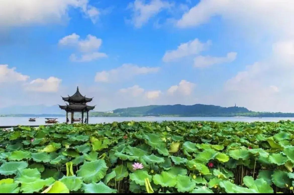 《愿疫情阴霾早日散去，山河无恙，人间皆安》