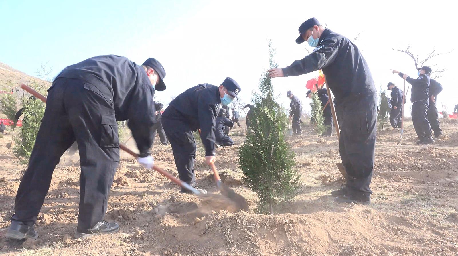 春风十里 植绿走起——蒲城县公安局积极参加义务植树活动（图）