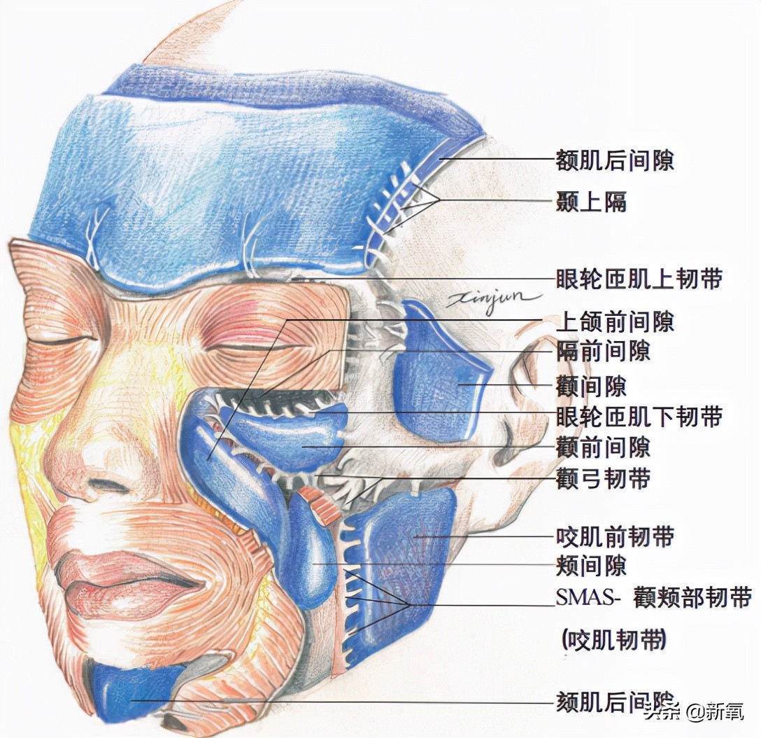 人生无常，大肠包小肠，腿精变肿精？