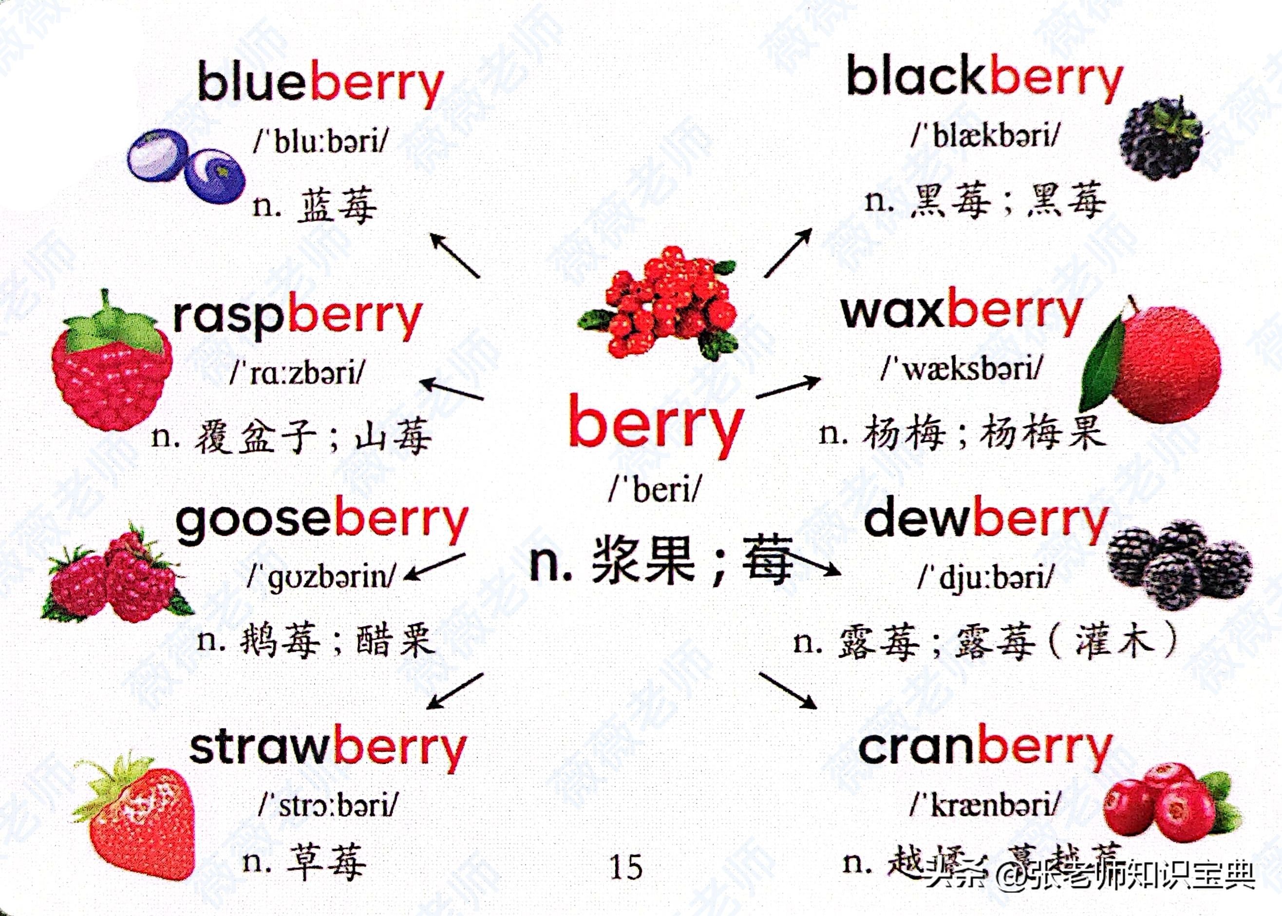 十二的英语单词怎么读（第一至第十二的英语单词怎么读）-第12张图片-科灵网