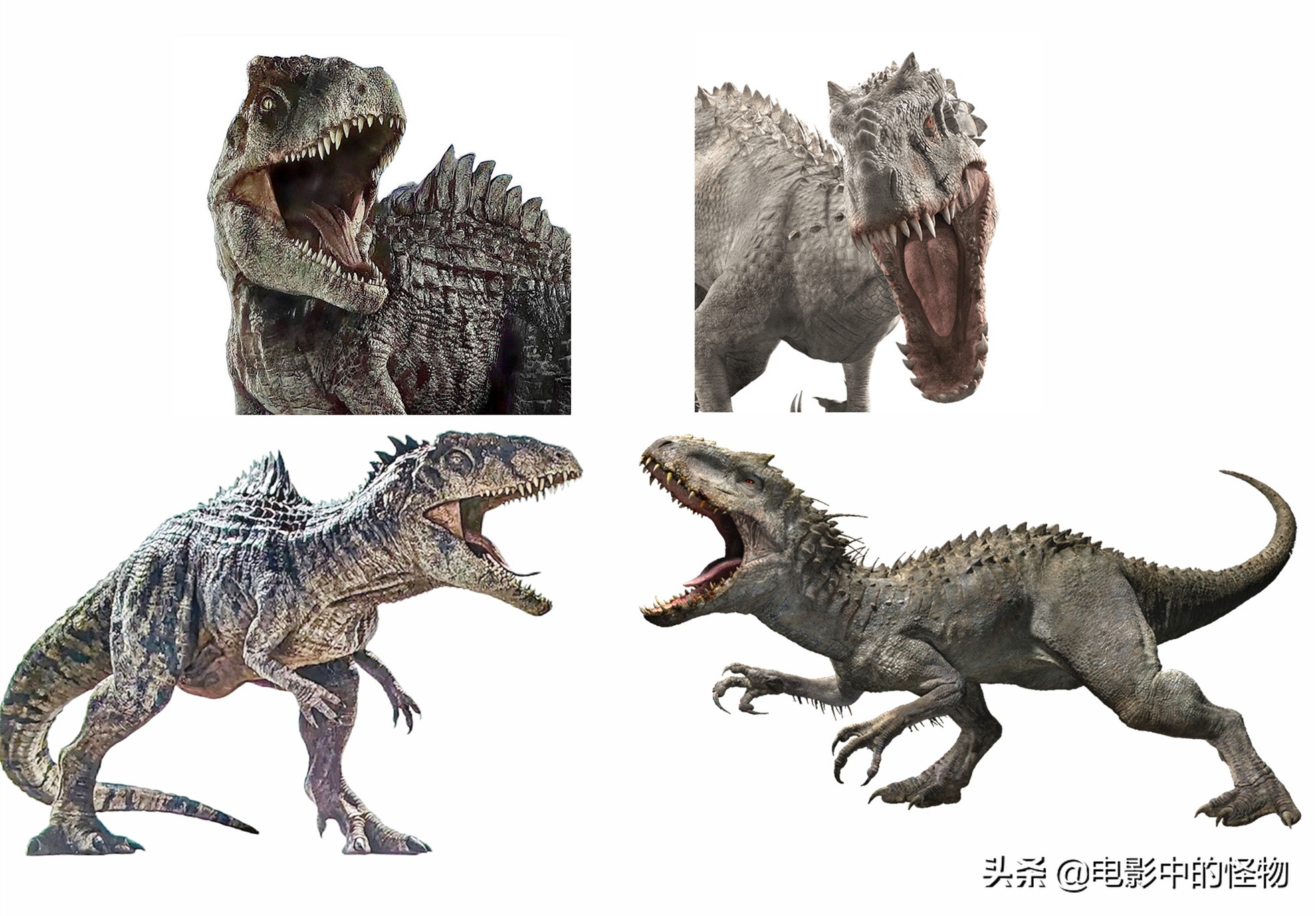 基因南方巨兽龙图片(《侏罗纪世界3》南方巨兽龙完整造型，《奇异博士2》也有恐龙登场)